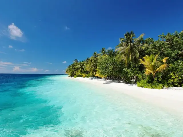 Vilamendhoo Island Resort photo 1