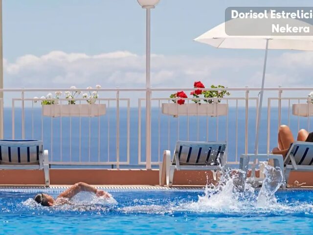 Dorisol Estrelicia photo 3