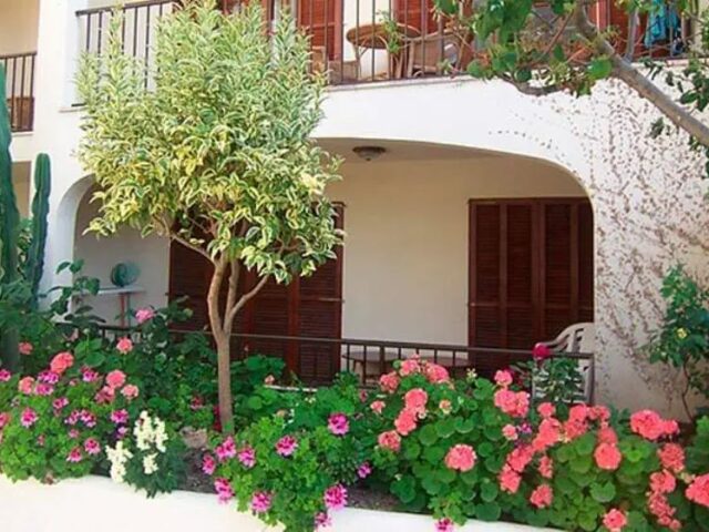 Casa Vida