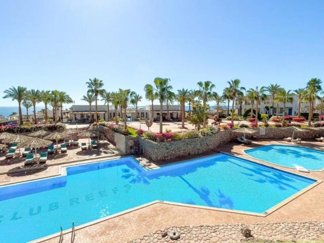 Club Reef photo 3