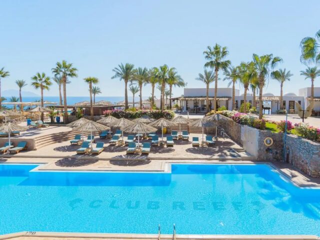 Club Reef photo 2