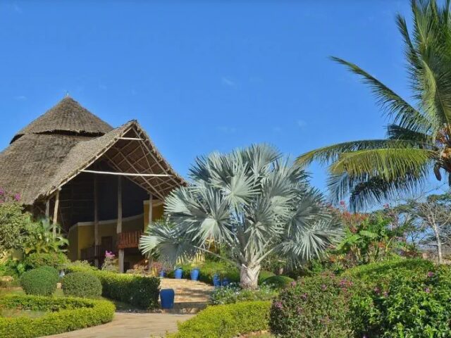 Gold Zanzibar