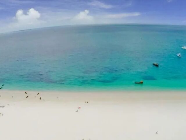 Gold Zanzibar photo 1