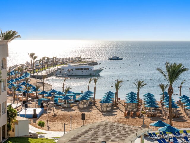 Beach Albatros Resort photo 2