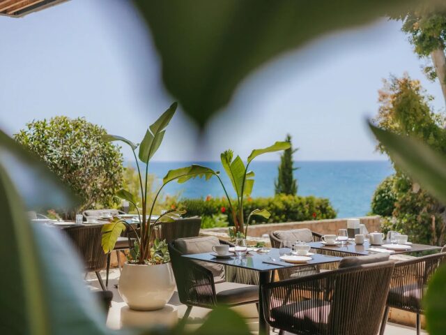 The Royal Apollonia photo 1