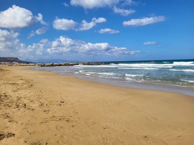 Erato photo 2