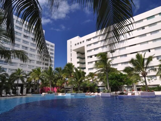 Grand Oasis Palm