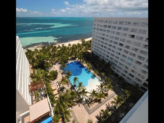 Grand Oasis Palm photo 3
