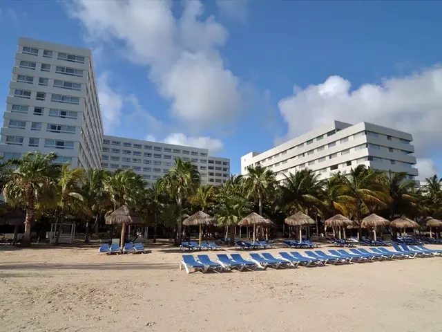 Grand Oasis Palm photo 1