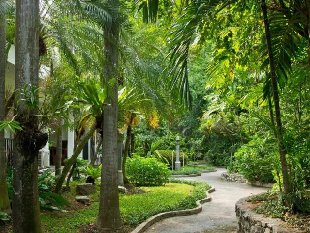 Sunshine Garden