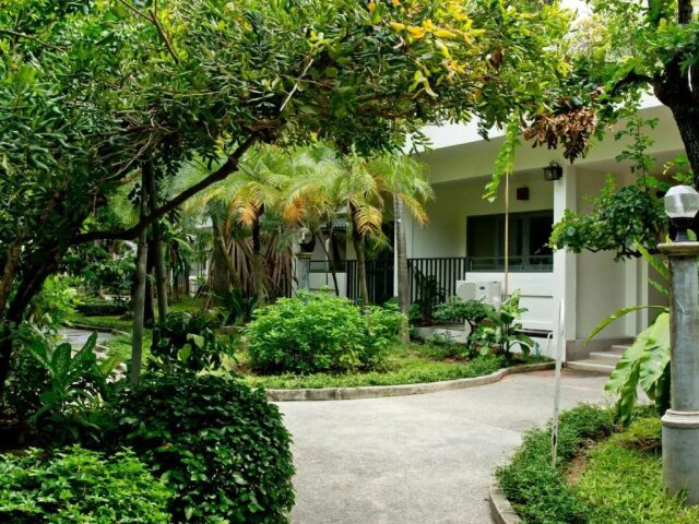 Sunshine Garden photo 0