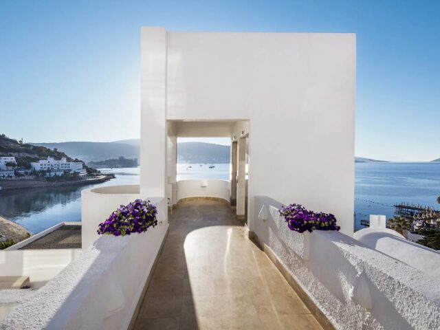 Agaya Bodrum