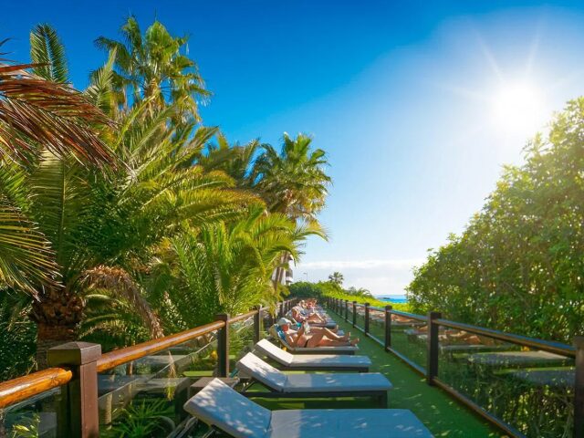 Parque Tropical photo 1