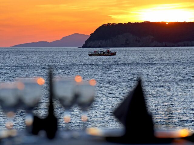 Splendid photo 0