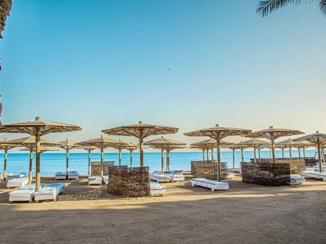 Palm Beach Resort photo 3