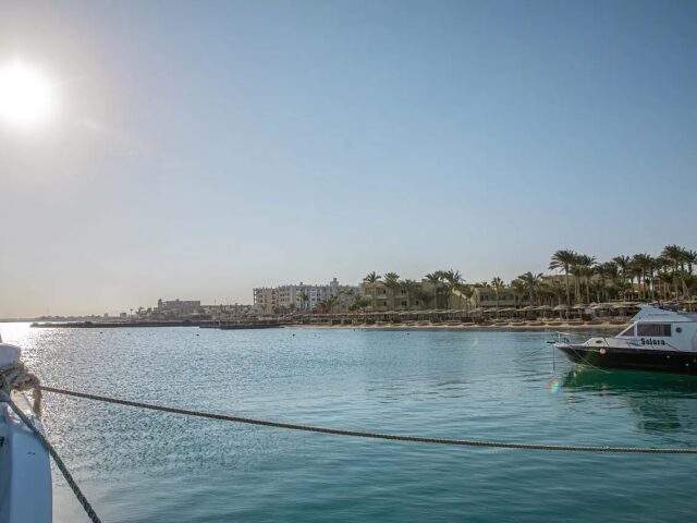 Palm Beach Resort photo 2