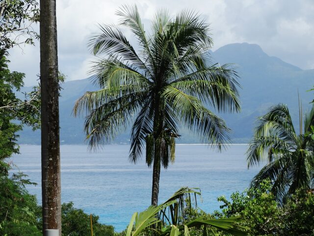 Anse Soleil Beachcomber photo 0