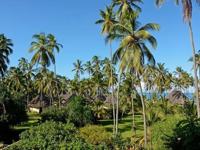 Ocean Paradise Resort & Spa photo 2