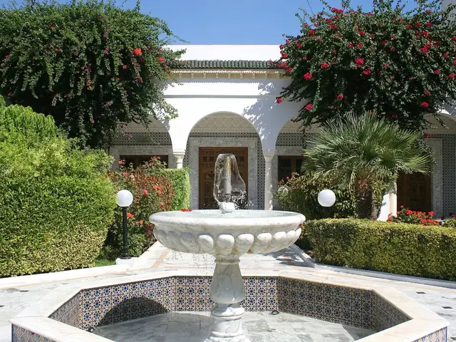 El Mouradi Palm Marina photo 2
