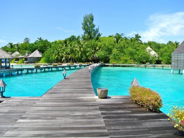 Gangehi Island Resort photo 3