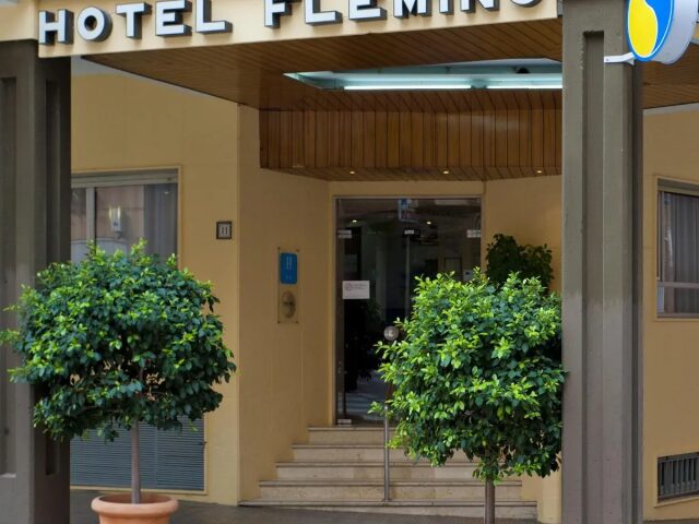 Fleming by Punta25 photo 2