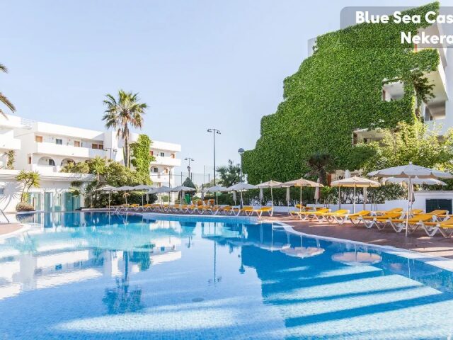 Blue Sea Cases d'Or photo 0
