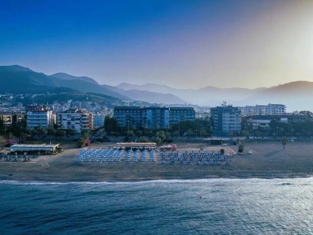 Ananas photo 1