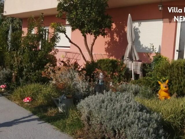Villa Luketa photo 3