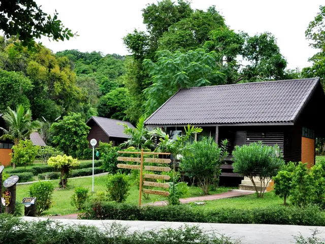 Phi Phi Natural Resort photo 0