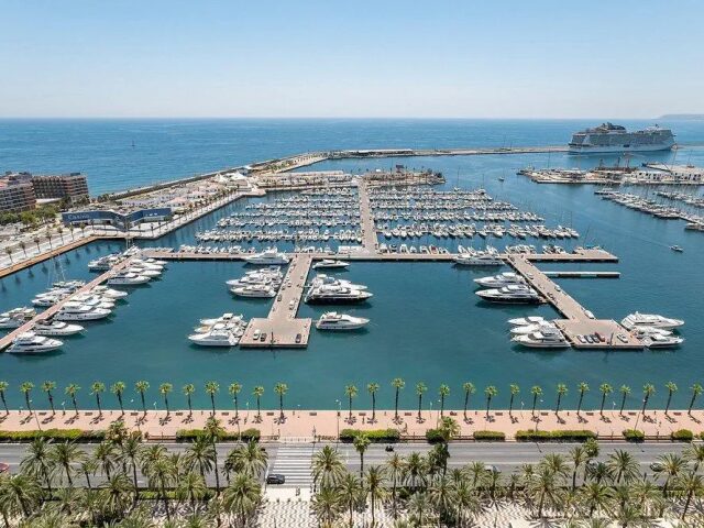 Alicante Gran Sol by Melia photo 2