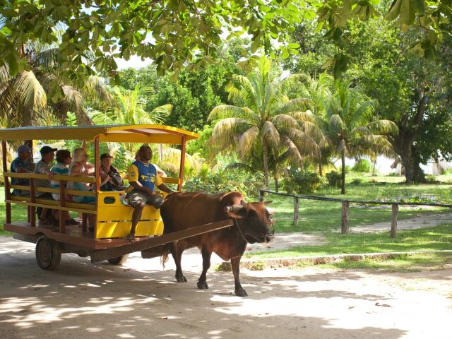La Digue Island Lodge photo 1