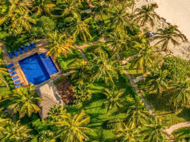 The Palms photo 0