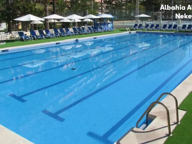 Albahia Alicante