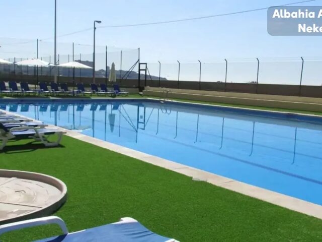 Albahia Alicante photo 0
