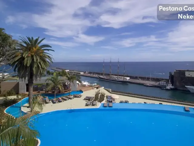 Pestana Casino Park photo 3