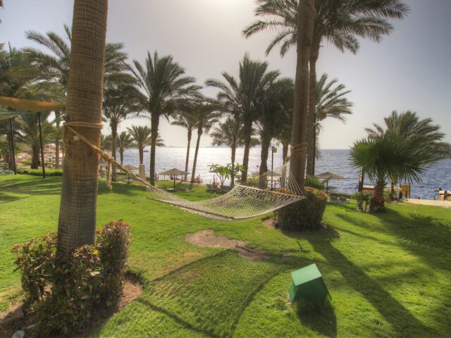 Grand Rotana Resort & Spa photo 0