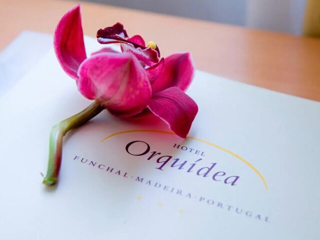 Orquidea photo 0