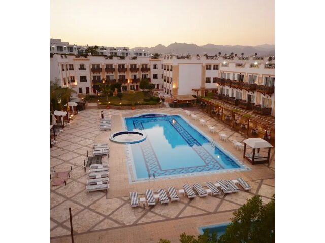 Falcon Naama Star photo 2