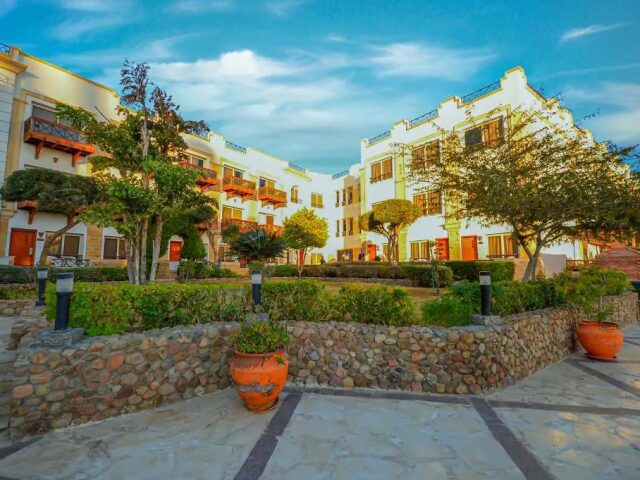 Falcon Naama Star photo 1