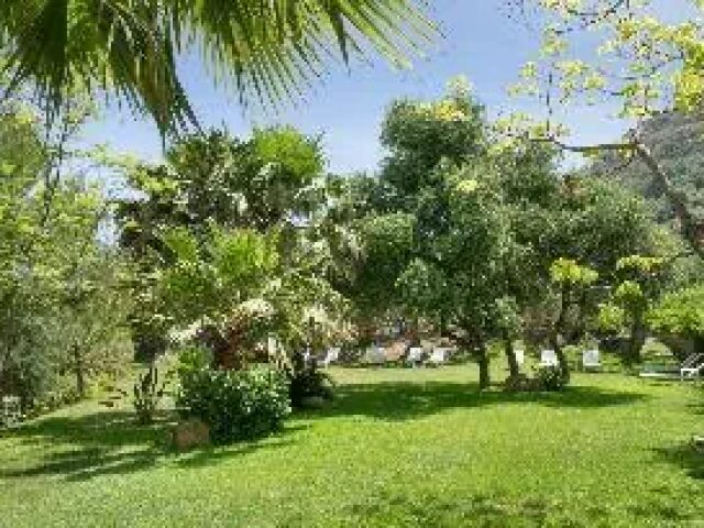Alberi Del Paradiso photo 3