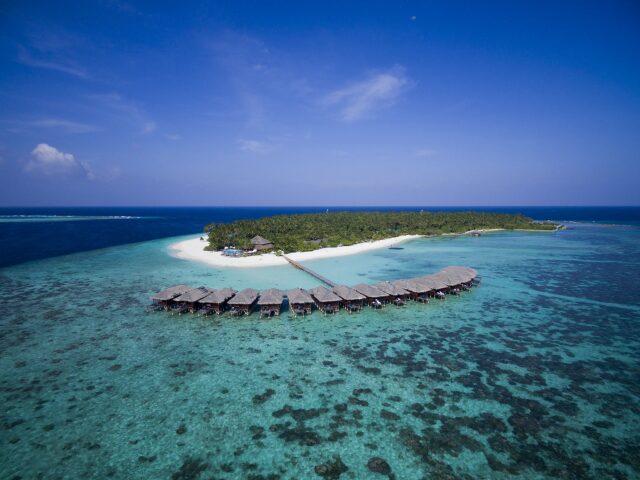 Filitheyo Island Resort photo 1