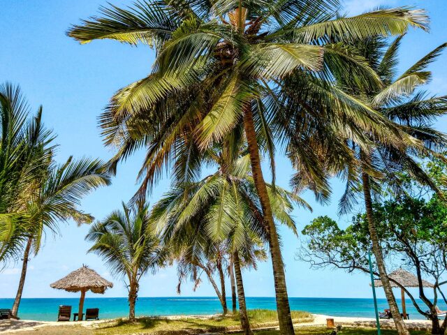 Jacaranda Indian Ocean Beach Resort photo 3