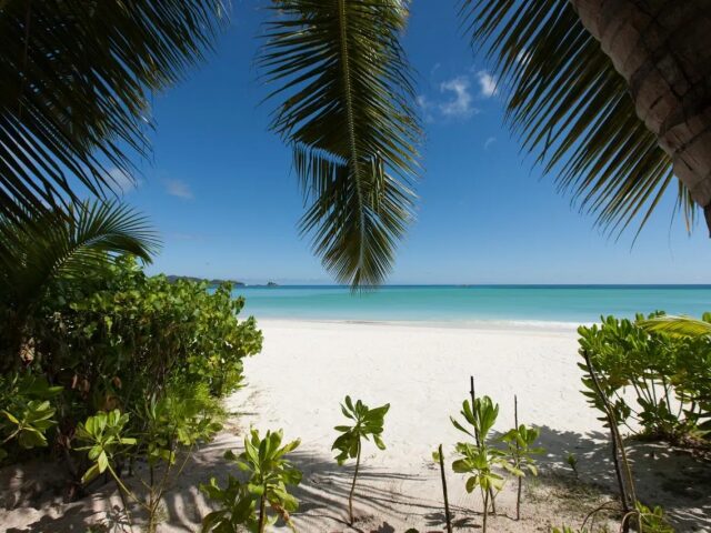Acajou Beach Resort