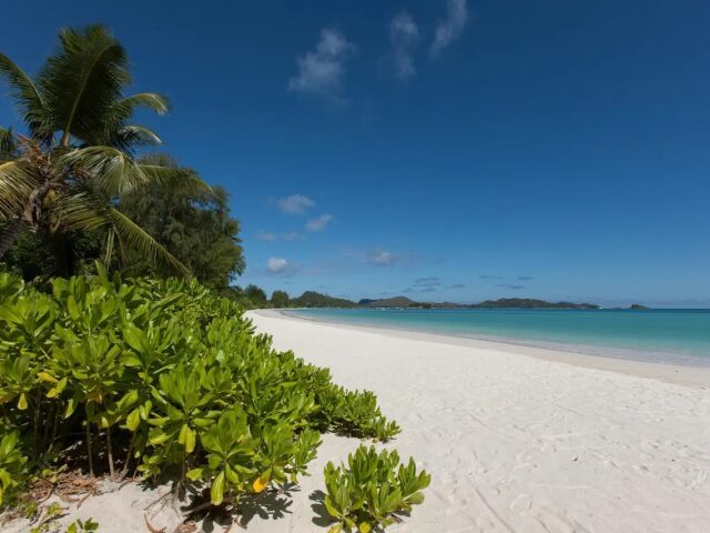 Acajou Beach Resort photo 0