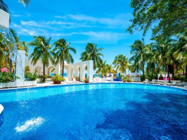 Oasis Palm photo 2