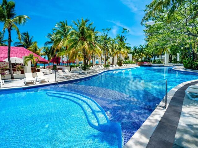 Oasis Palm photo 1