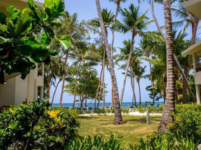 Impressive Punta Cana photo 0