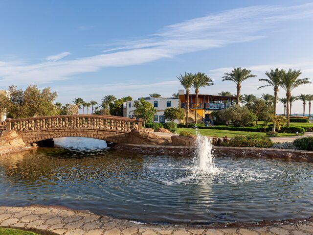 Palm Royale Soma Bay photo 2