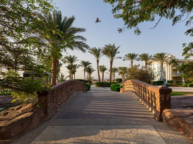 Palm Royale Soma Bay photo 1