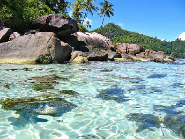 Indian Ocean Lodge photo 3
